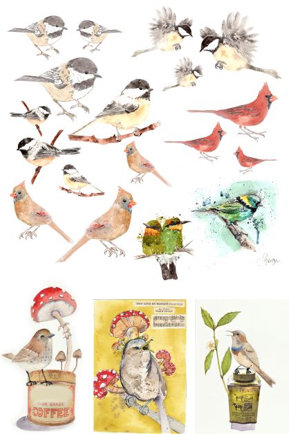 Decoupage Paper - Catalog of Birds